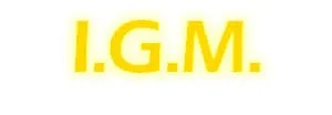 I.G.M Institute Of Art And Fashion