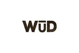 WORLD UNIVERSITY OF DESIGN ( HARYANA )